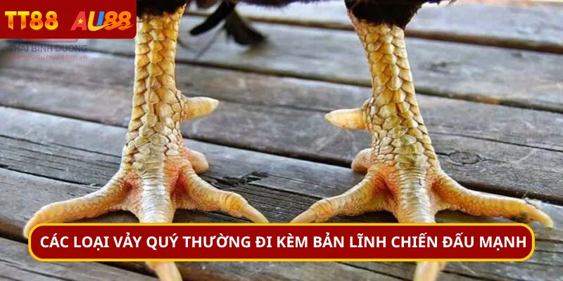 Các loại vảy quý thường đi kèm bản lĩnh chiến đấu mạnh