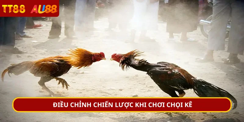 Điều chỉnh chiến lược khi chơi chọi kê
